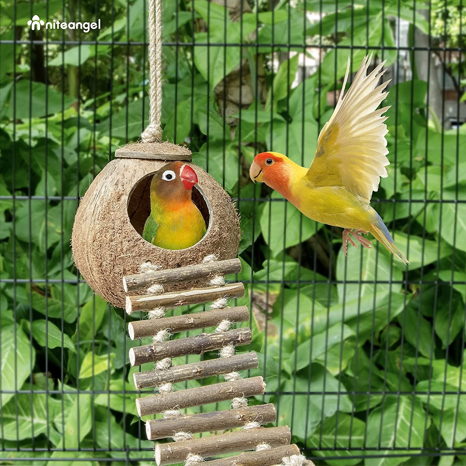 100% Natural Coconut Hideaway with Ladder, Bird and Small Animal Toy